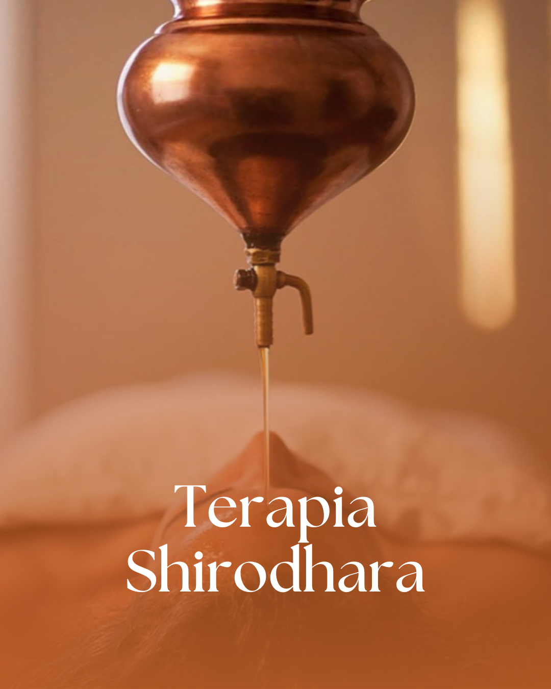 SERVIÇOS - CAMILA (7)